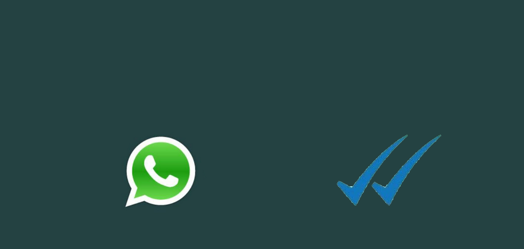 Whatsapp 2 blaue haken aber nicht online
